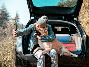 Have Dog, Will Travel: Tips for a Solo Road Trip with Rover