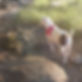 20170730_193240_edited.jpg