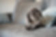 iStock-879402334.jpg