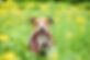 iStock-1207992654.jpg