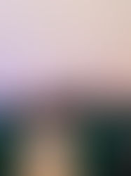 Il critico d’arte Pietro Marino ricorda i 50 anni dell’Accademia di Belle Arti di Bari