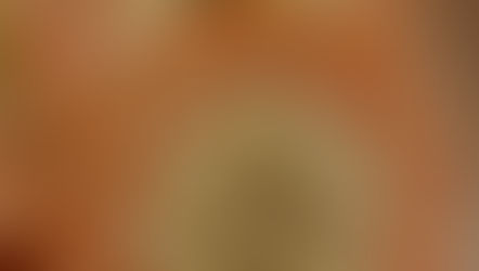 充実のスケジュール♬