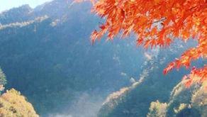 ずくだせ もみじ湖