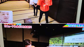 NBS特番とレギュラー