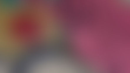 ずくだせテレビの日