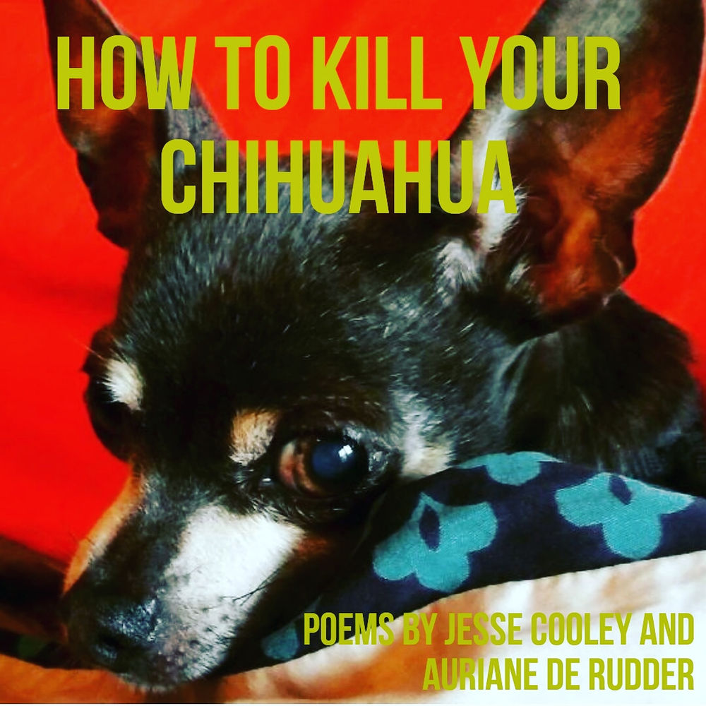 How to Kill Your Chihuahua