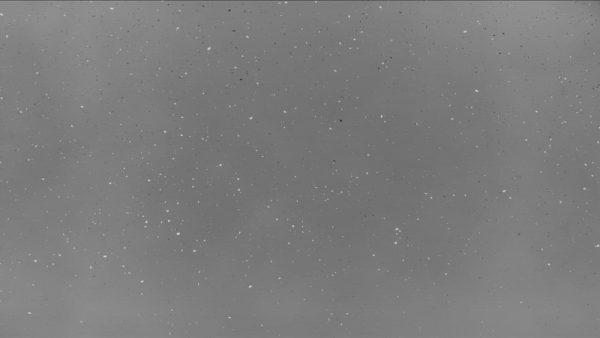 29c22b226400499.6866457bc987c.gif