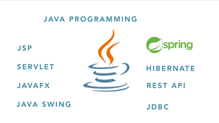 Appointment Scheduler - Java GUI or Java Project Help