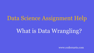 Data Science Assignment Help | What is Data Wrangling? - Codersarts
