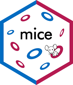 MICE_package_R_programming_codersarts.png