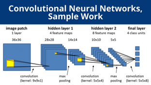 Convolutional Neural Networks, Sample Work