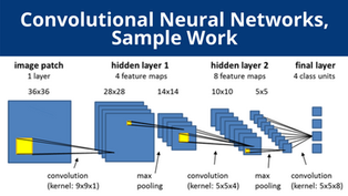 Machine Learning Assignment Help | CNN Sample !