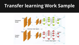 Transfer learning Work Sample