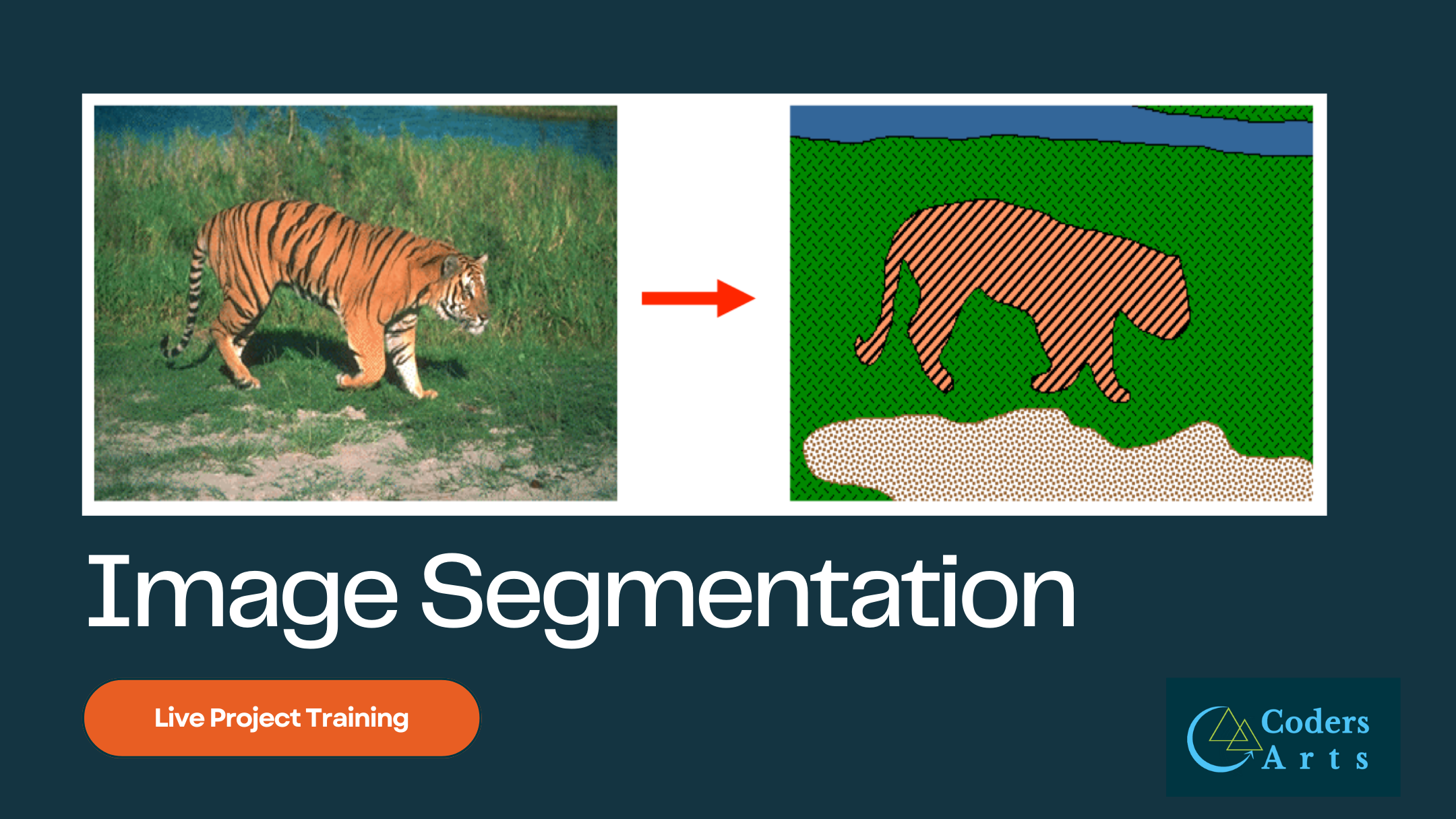 Image Segmentation By Clustering | Live Project Training | Codersarts