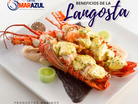 Beneficios nutricionales del consumo de la langosta