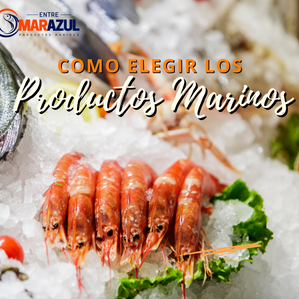Como elegir los productos marinos