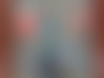 Becky's Great Book Reviews Holly by Stephen King