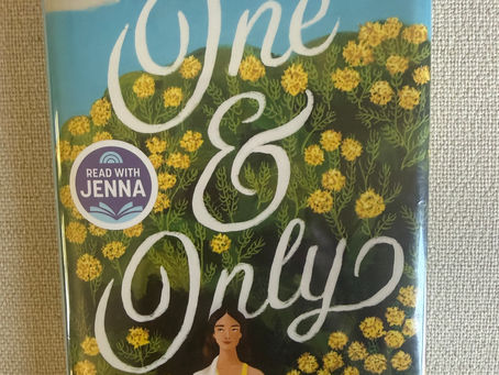 Becky's Great Book Reviews One & Only by Maurene Goo