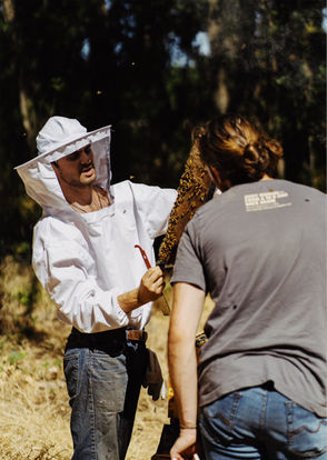 44809913-D96F-4C14-A10C-5F877FE03537-9C05DCB3-07B7-4A81-869E-F2025D7E11E8