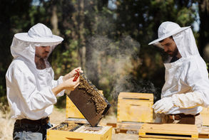 62F320D8-CECF-4920-AC0F-0963FBD2C54A-2BF40F87-0B45-48F1-A24C-573B76845481