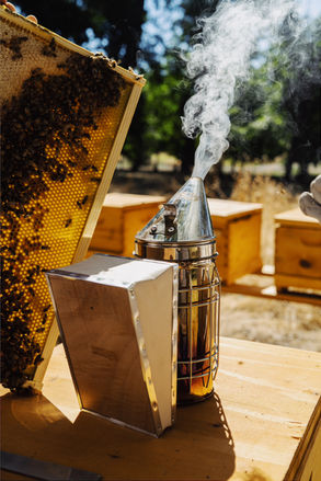 FAC93684-0D94-4F1F-9886-18398CB39C92