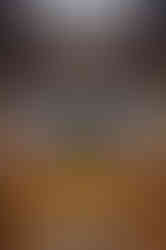 CA335DE4-DD96-4BEC-AAB4-2030AC3CD856