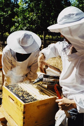 E94D4407-96A8-47CD-AA1D-83BBD352DBE9-6A8DB1AB-2968-4DB1-98D2-198613E2BEDC