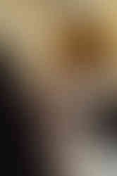 0FD73D81-26AC-4893-BF02-5A2582016587-F1333C59-F6A6-41E1-B59D-19C26A438A61