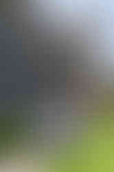 Feast of Christ the King