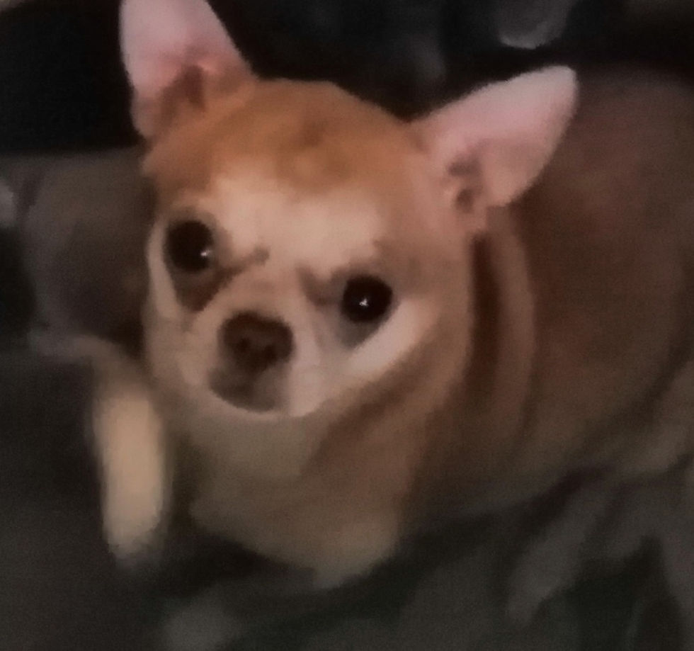 ree