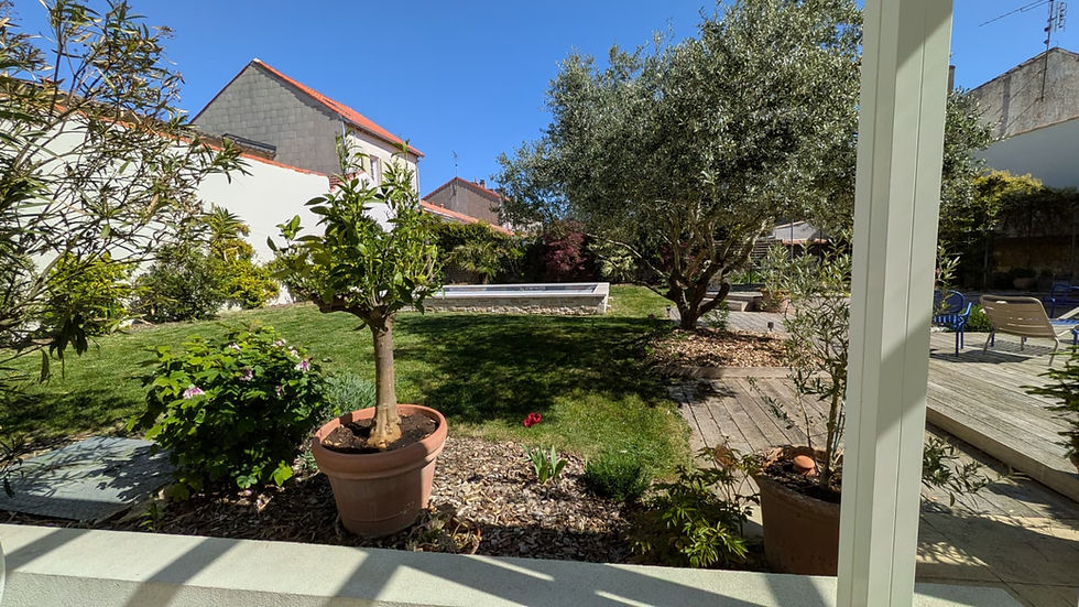 Jardin végétal, pelouse en rouleau et piscine