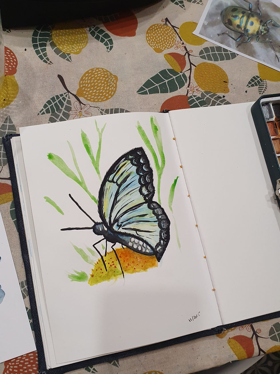Miniature : Soirée aquarelle et tapas - insectes fabuleux
