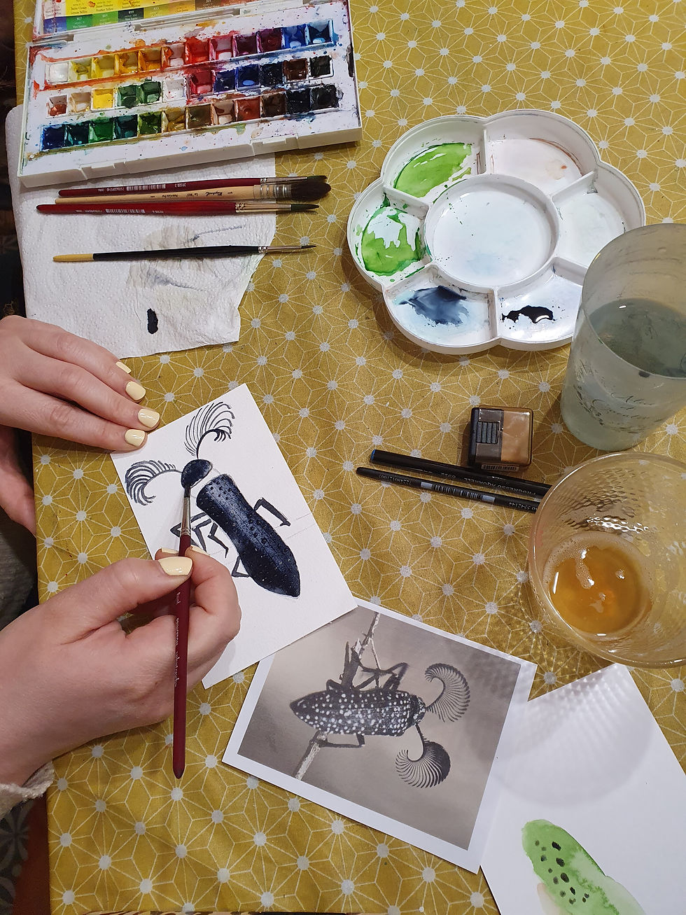 Miniature : Soirée aquarelle et tapas - insectes fabuleux