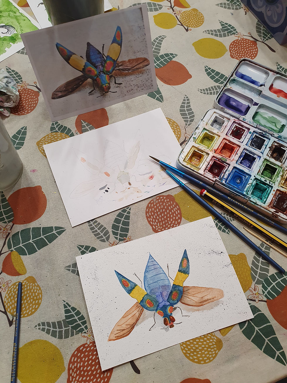 Miniature : Soirée aquarelle et tapas - insectes fabuleux