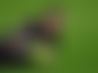 Face à Nantes, le FC Metz veut repartir du bon pied