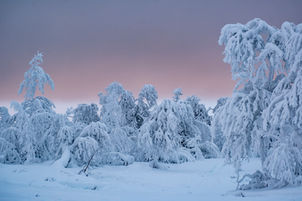 DSCF9835 kopiera.jpg