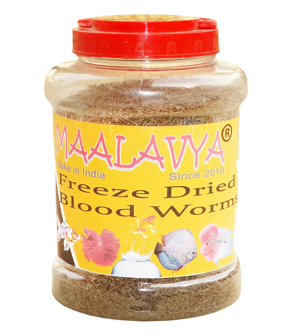 Thumbnail: Maalavya Freeze Dried Blood Worms Fish Food