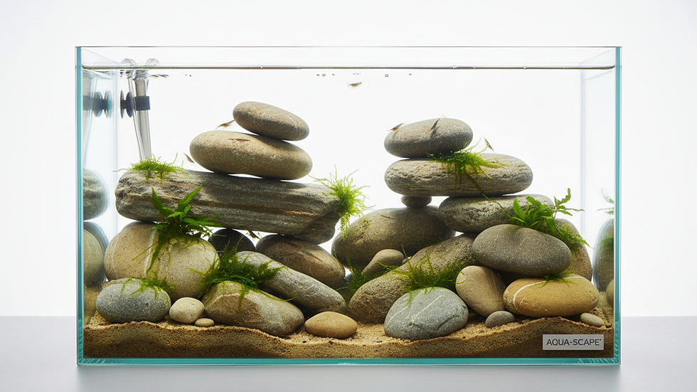 Close-up view of natural river rocks arranged in a freshwater aquarium