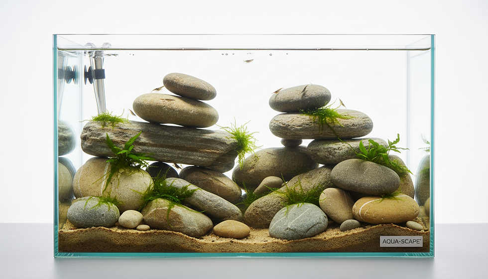 Top Rock Choices for Freshwater Aquariums: Your Guide to Ideal Aquarium Rocks