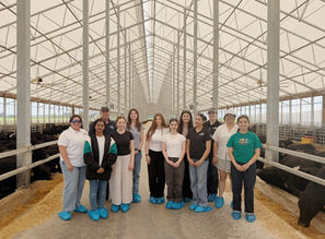 Partner Perspectives: Beef Farmers of Ontario