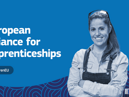 HDRI is now an official member of the European Alliance for Apprenticeships (EAfA)