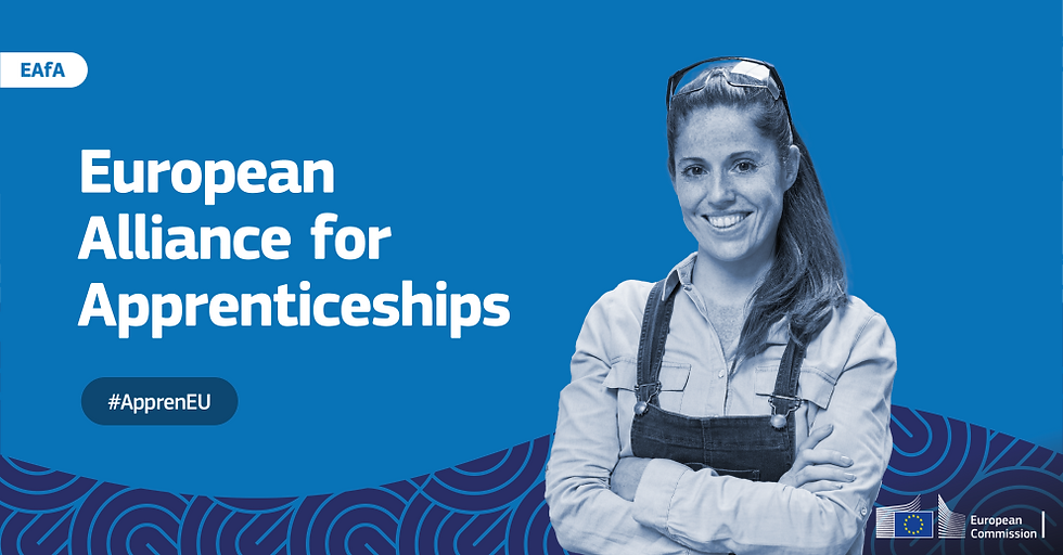 HDRI is now an official member of the European Alliance for Apprenticeships (EAfA)