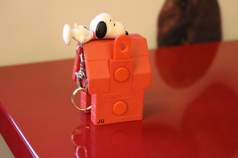 Thumbnail: 스누피 키 하우스