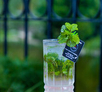 2022-04-11-GROTTA-EM ALTA-071.jpg