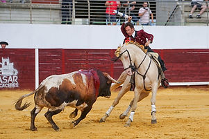 Corrida de toros mixta Fiestas