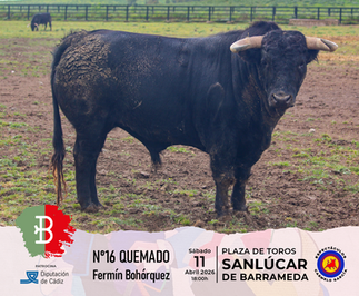 Toro 16 - Corrida de rejones Sanlucar de Barrameda 2026