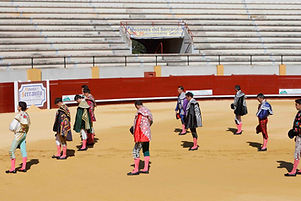 Novillada sin picadores Ciclo AAET