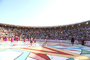 VIII Corrida Magallánica