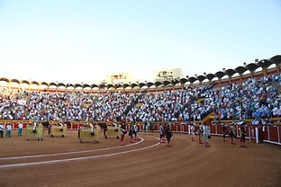 Aumenta el número de abonados para la próxima Feria Real de Algeciras