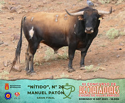 En imágenes | Los de Manuel Patón para el Concurso de recortes de Villacarrillo